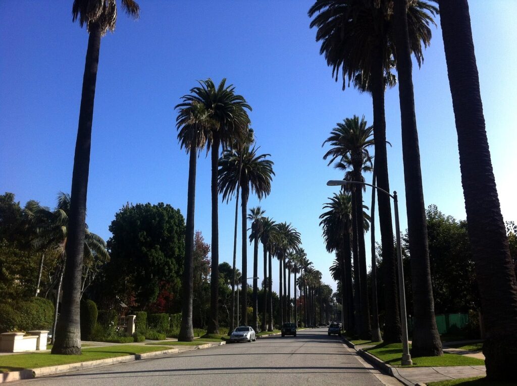 Why living in Beverly Hills is great for kids
